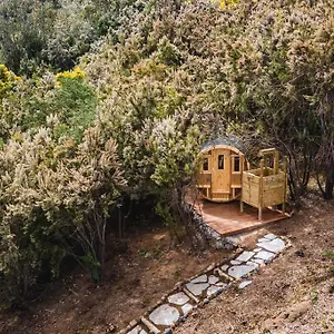 El Pino Centenario 3 Con Sauna Villa